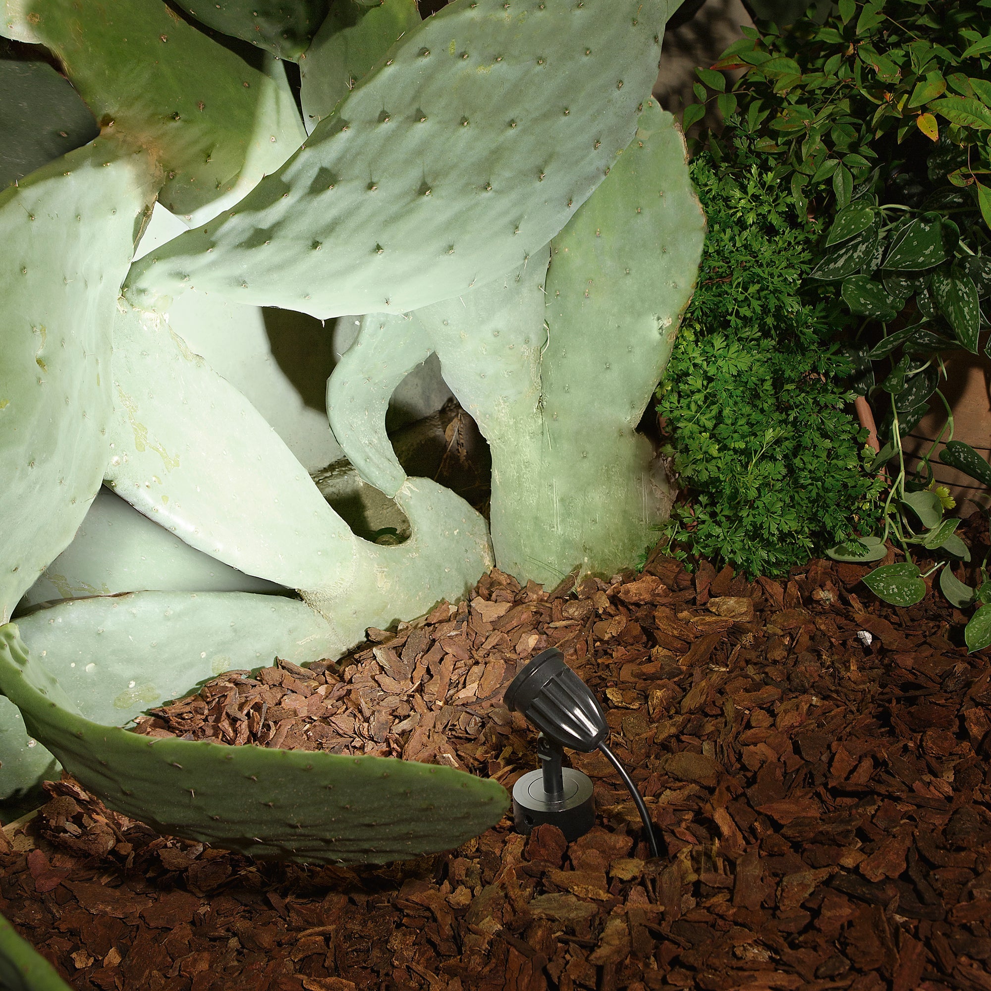 Proiettore LED PEG in termoplastica nera 9W 800LM IP65 - FT-FeelThe