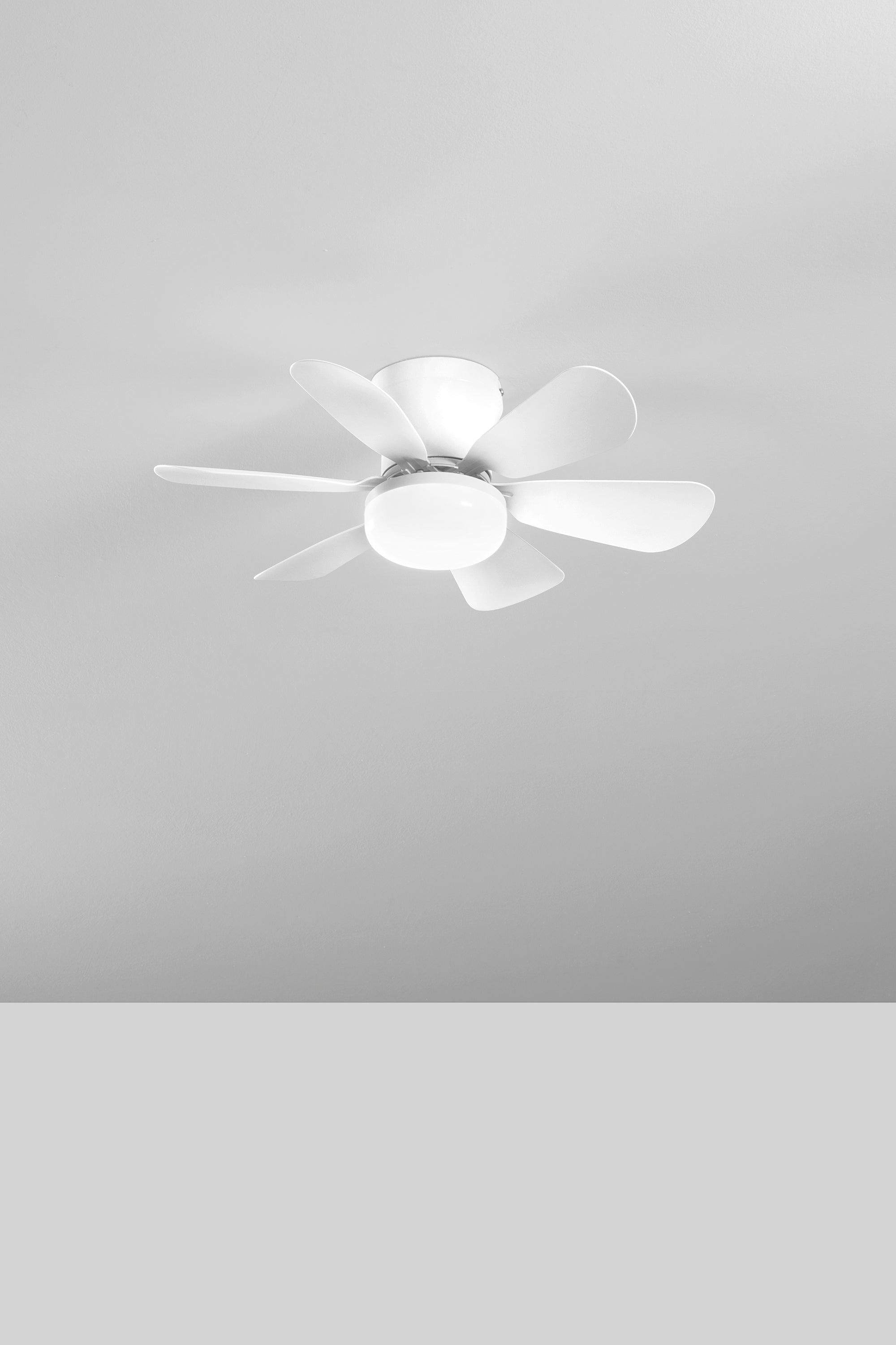 Plafoniera con ventilatore WIND | FT Feel The