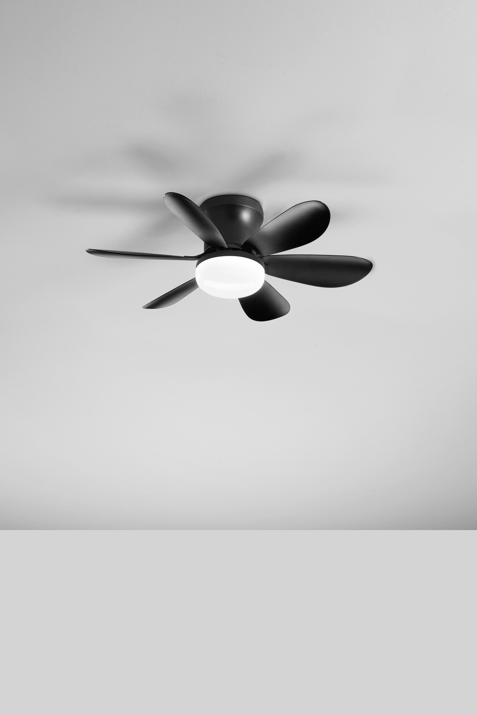 Plafoniera con ventilatore WIND | FT Feel The