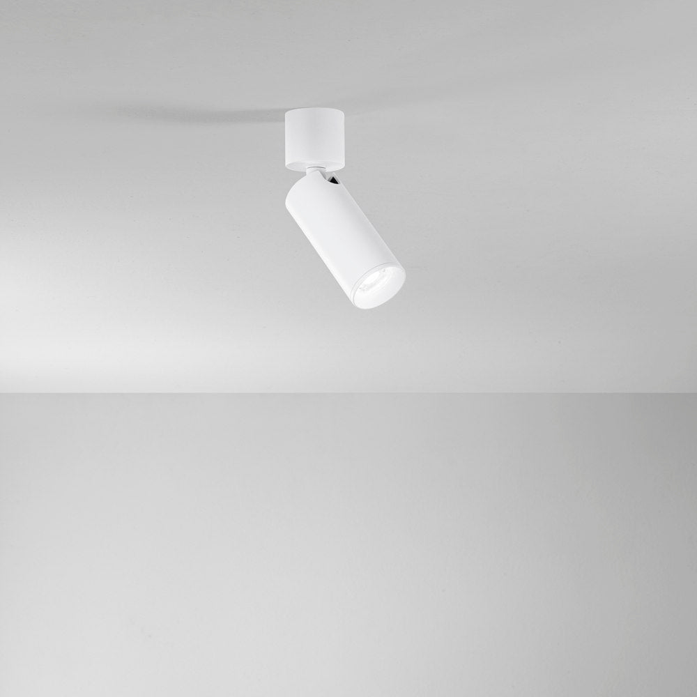 Faretto Spot orientabile Plauto in metallo nero o bianco
