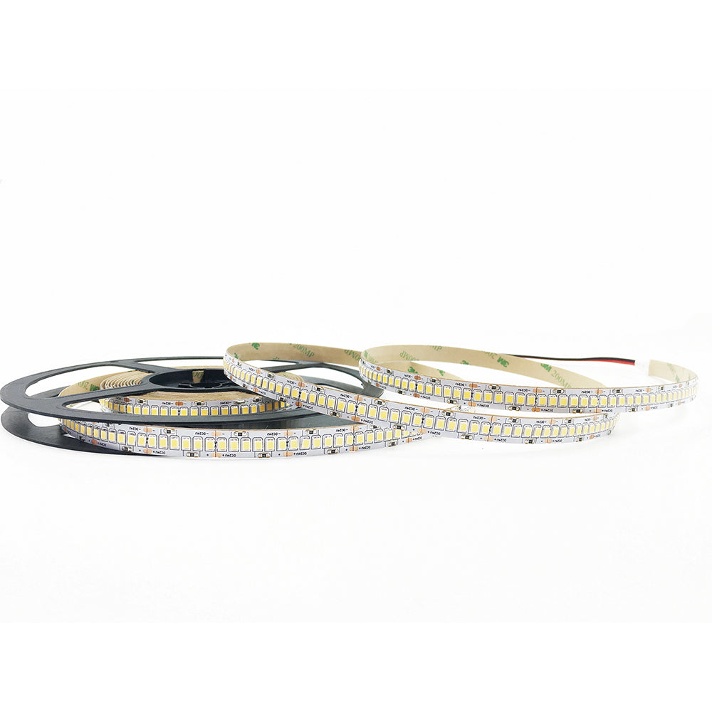 Strip LED 2835 240 LED x 24W/m. DC24V (luce calda, naturale e fredda) 5 metri - FT-FeelThe